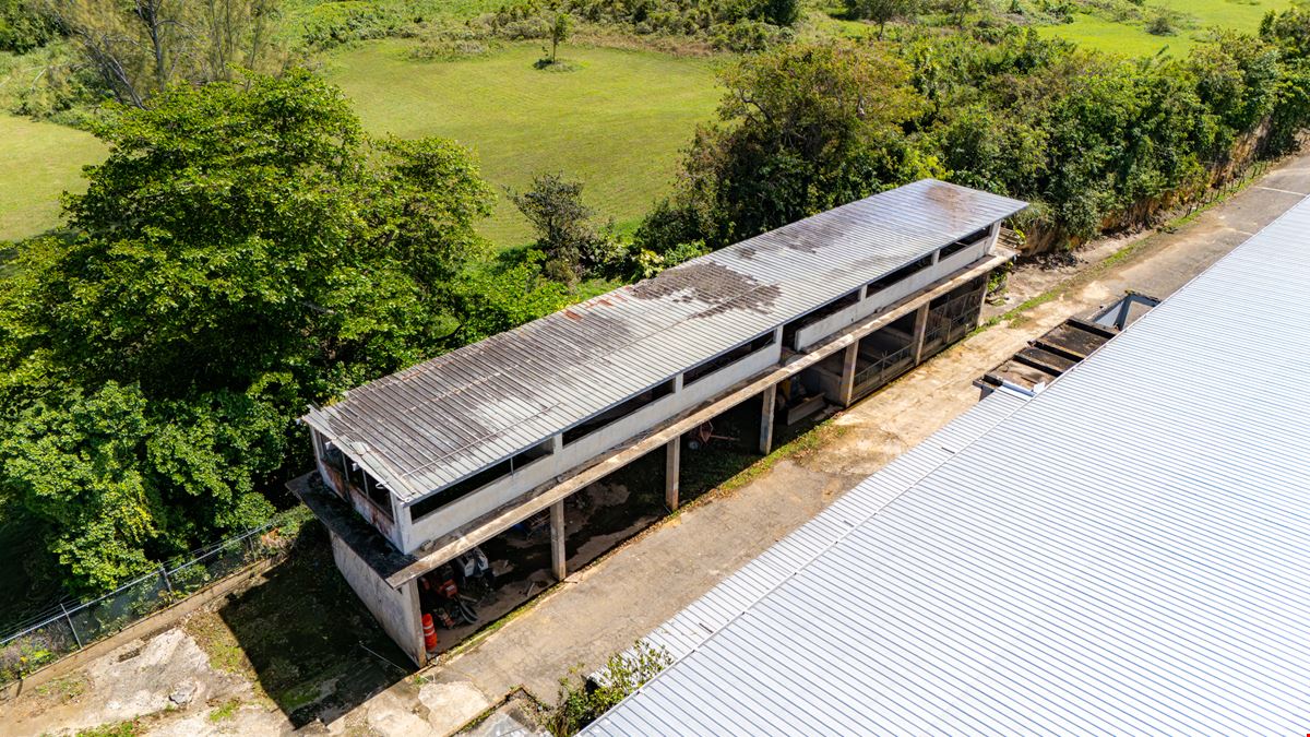 Isabela Industrial Warehouse - FOR LEASE