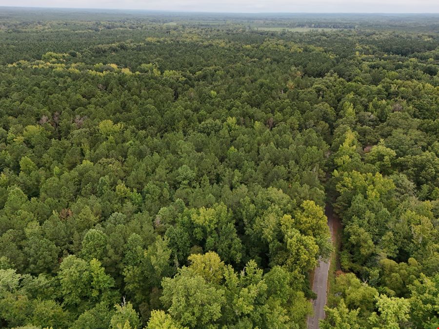 Craig Hill Hunting & Timber Tract