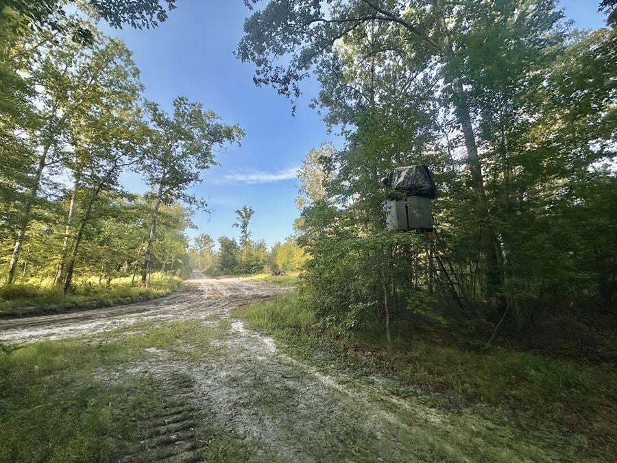 Meriwether Rd Tract