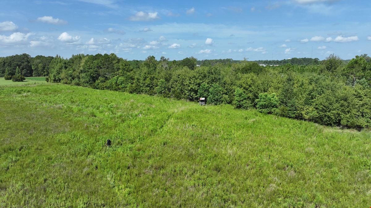 214 acres of Development Land in Hazlehurst, GA