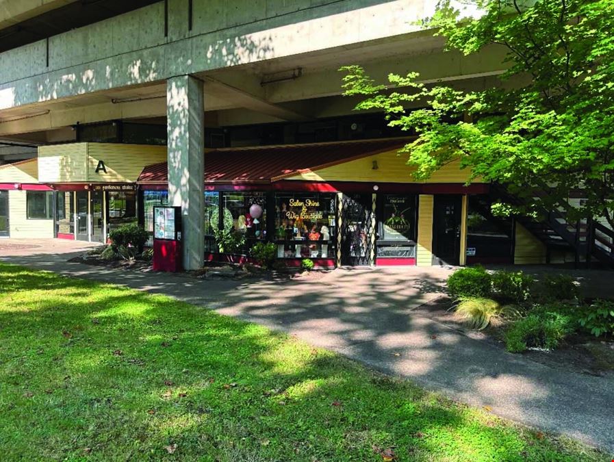 Pringle Park Plaza
