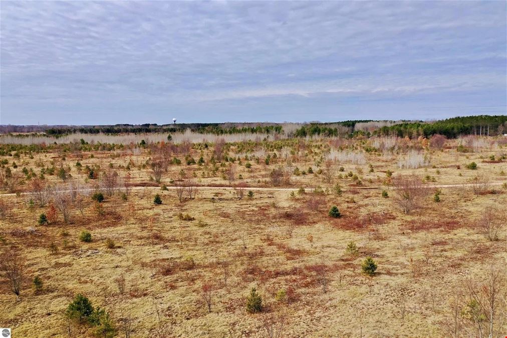 Over 200 Acres of Vacant Land for Development