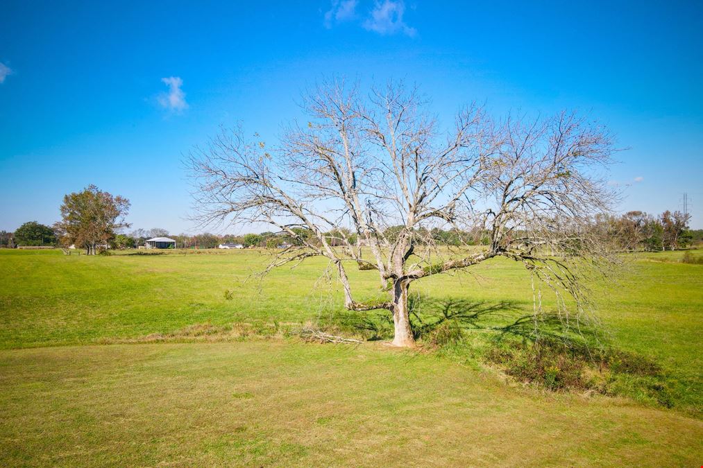 47.5 +/- AC Forest Chapel Rd