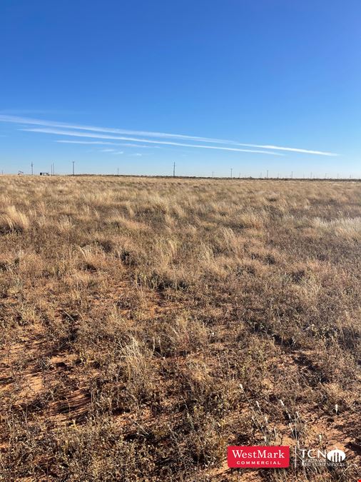 105.21 Acre Hockley Co., TX Vineyard & Development Land