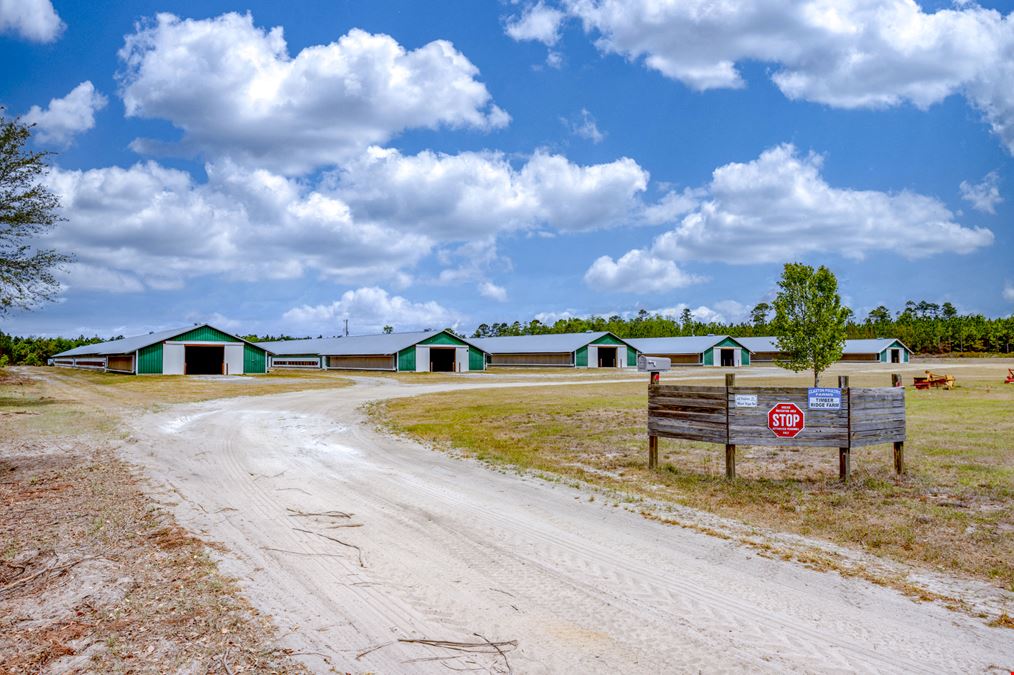 Timber Ridge Farm - Poultry and Homeplace Package