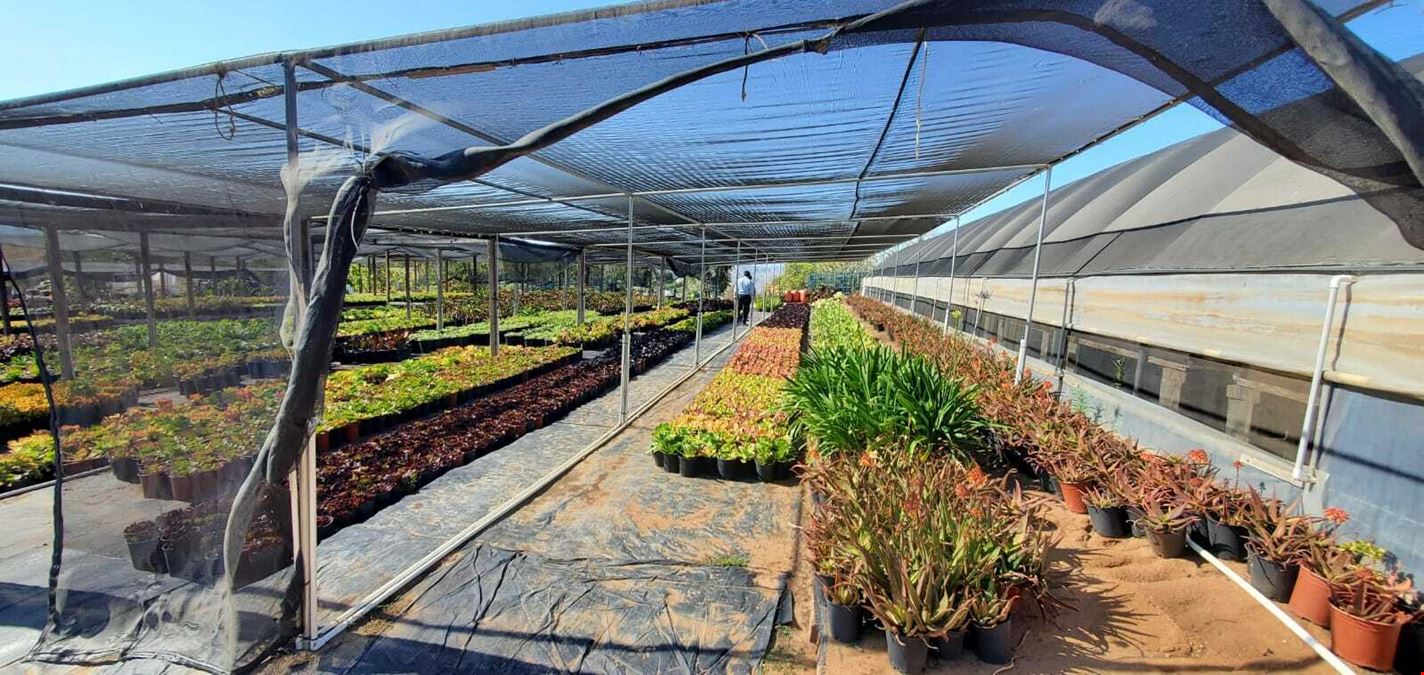 22.86 Acres Nursery in Bonsall