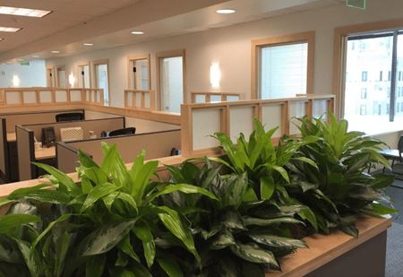 Preview of Coworking space for Rent at 315 Deaderick St, Suite 1550