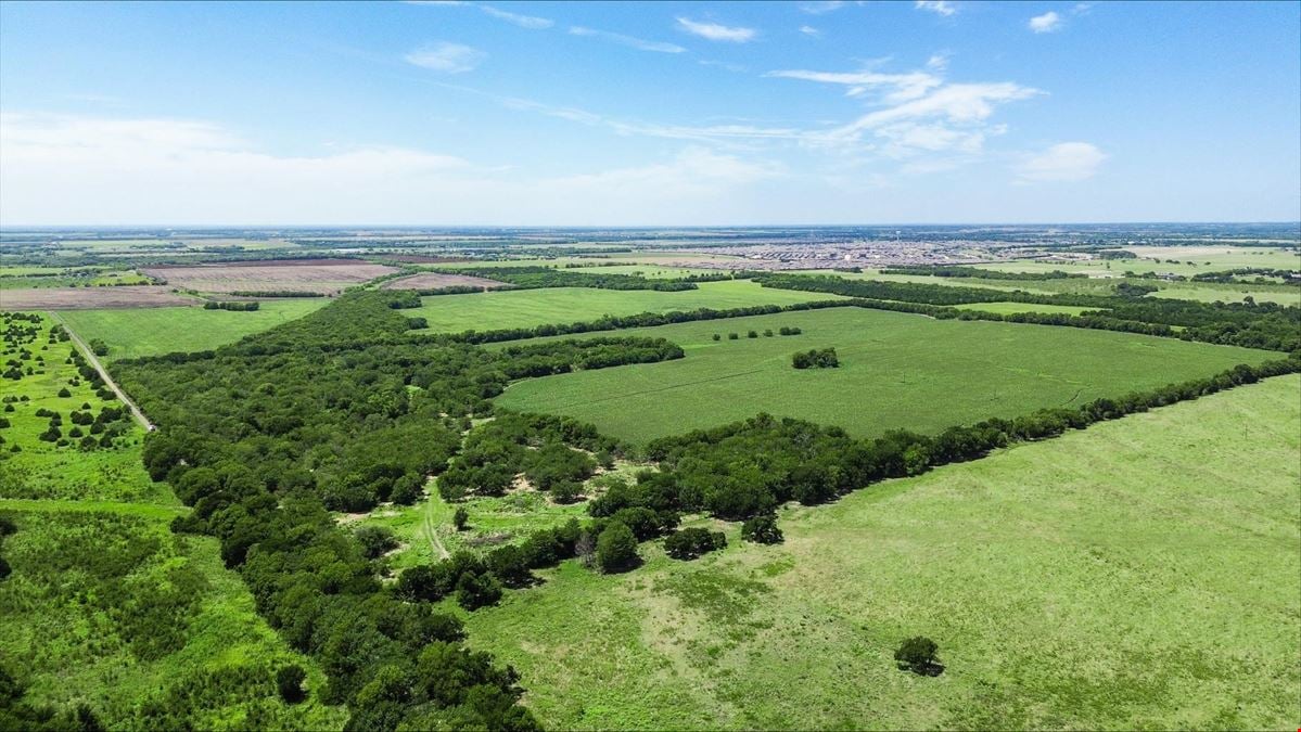 55 Acres for Sale in Royse City, TX