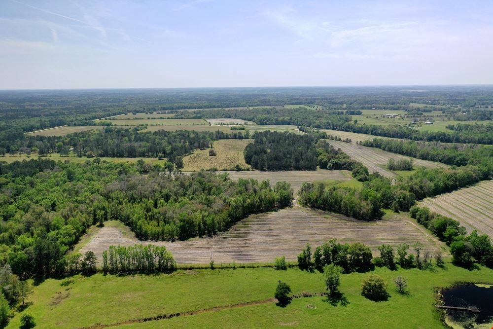 Alachua FarmLife