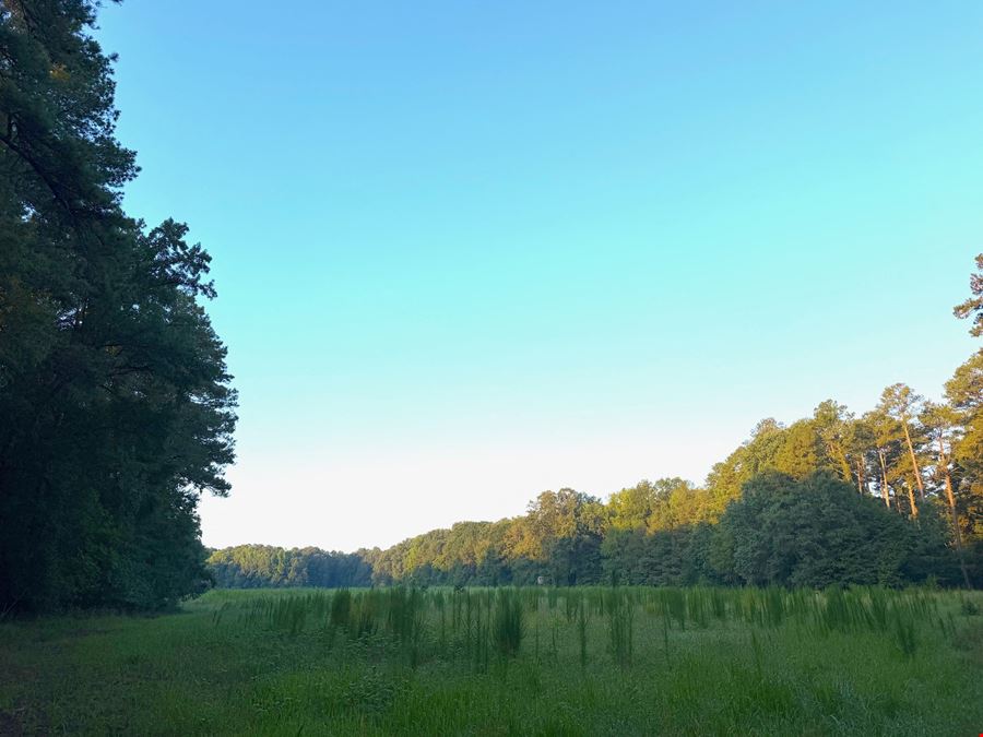 Jordan Andrews Tract