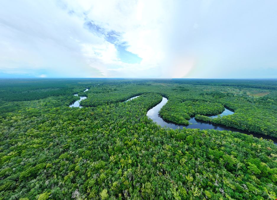 Camden Satilla River Tract