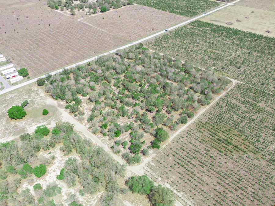 9.65± Acres on Friedlander Rd | Lake Wales- Polk County | Rural Homesite / Ag / Recreation