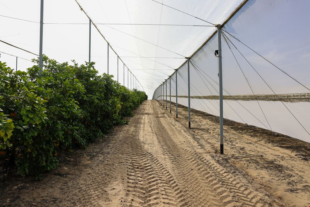 Florida Rubies Agricultural Investment Property