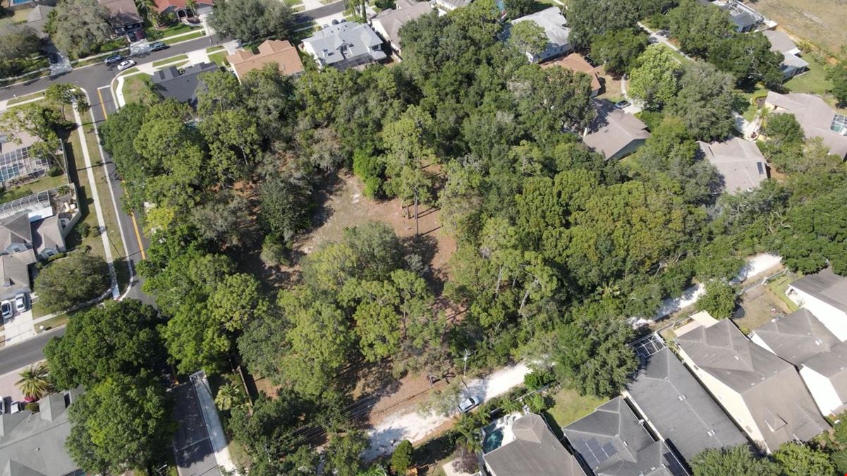 2.18 AC :: Residential land :: Citrus Park