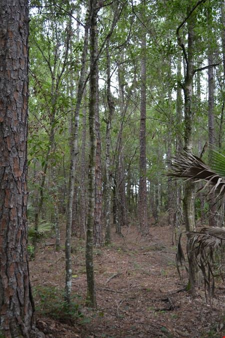 Deen Still Road Homesite