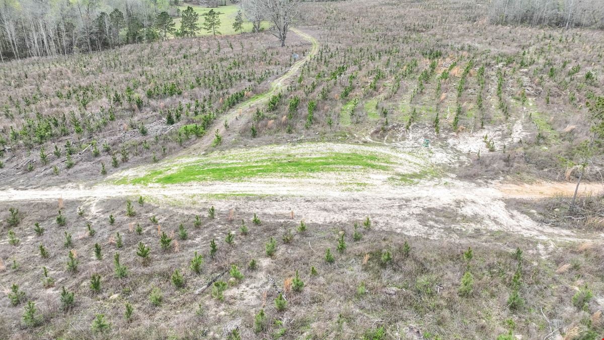 Brown Tract