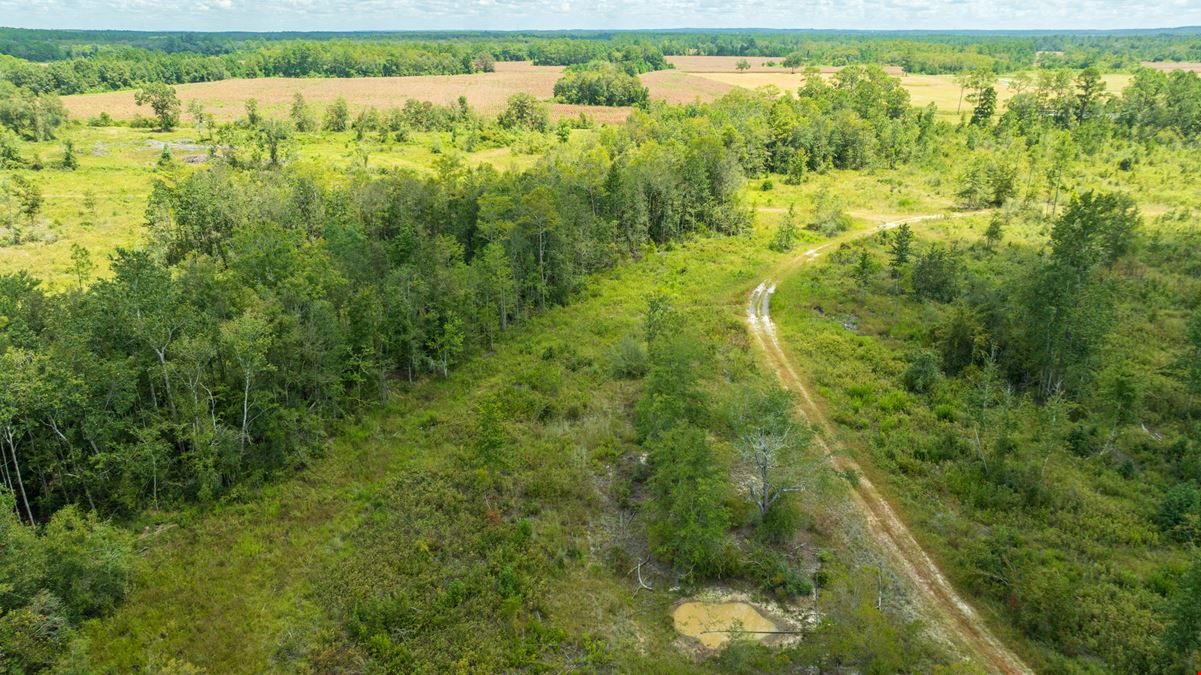 Panhandle Farm and Timberland