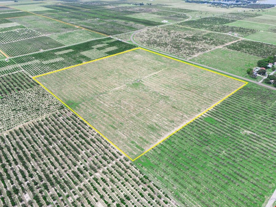 Scenic Highway Frostproof 39 Acres