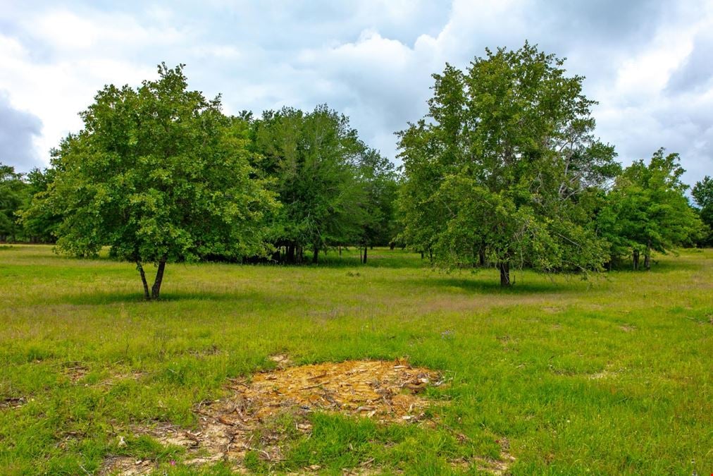375 Green Acres Lane