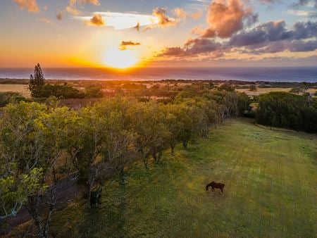 Preview of Other space for Sale at Big Island of Hawaii
