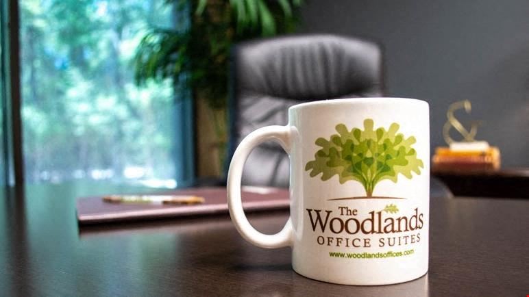 The Woodlands Office Suites