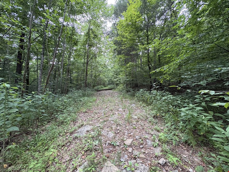 Tract 2 - 102.67± Acres - Beech St, Clarksville TN