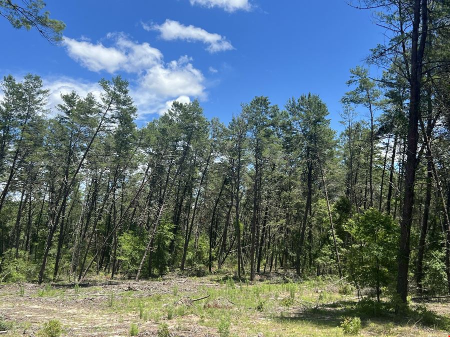 Citrus County 189 Acres