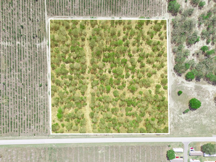 9.65± Acres on Friedlander Rd | Lake Wales- Polk County | Rural Homesite / Ag / Recreation