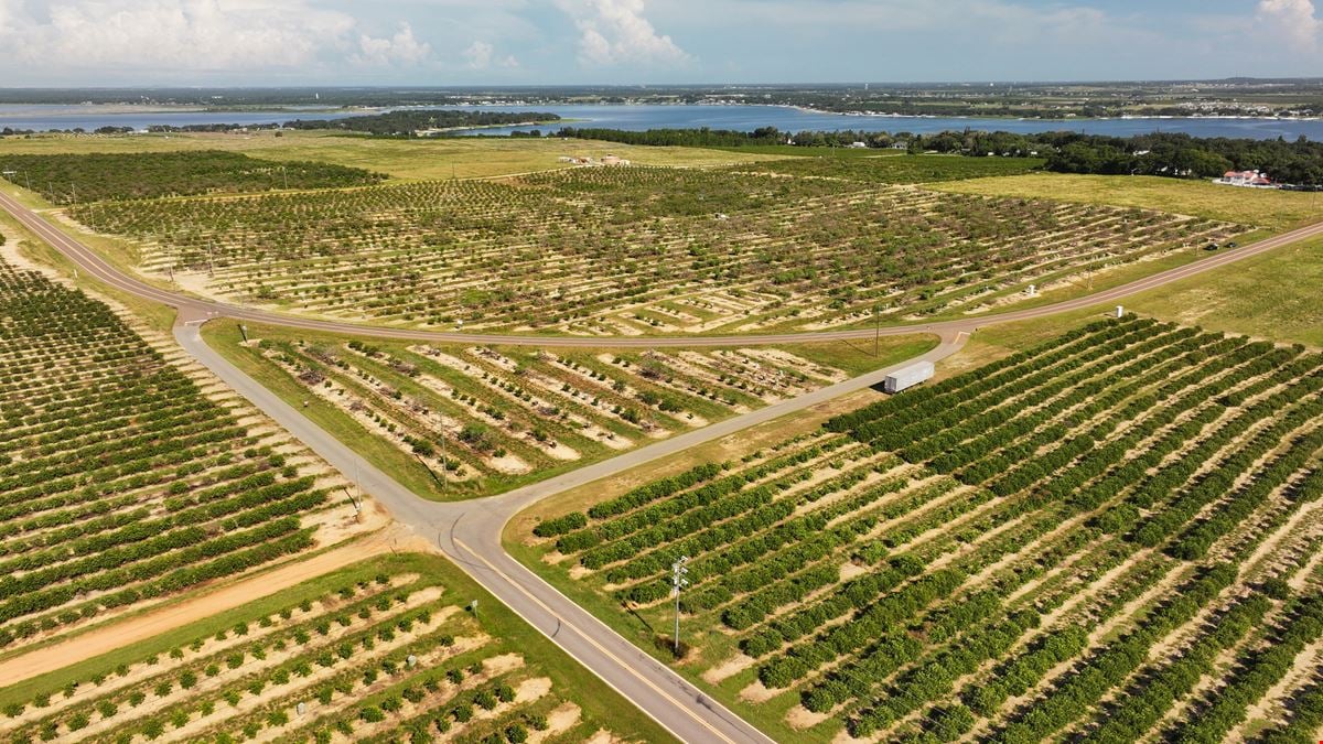 Auction - 584 Acres in Polk County