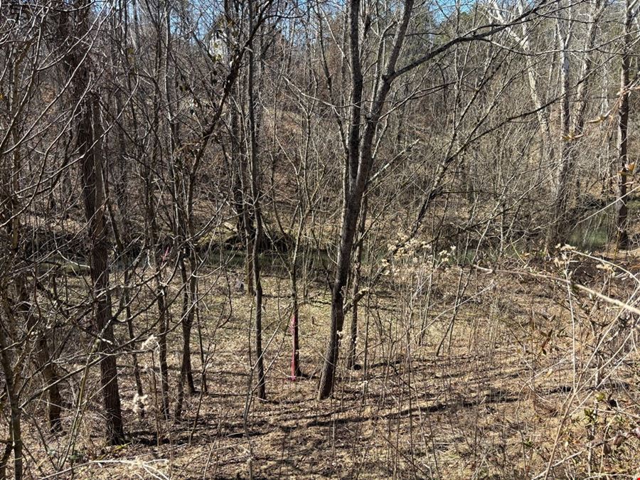 Commercially Zoned Tract