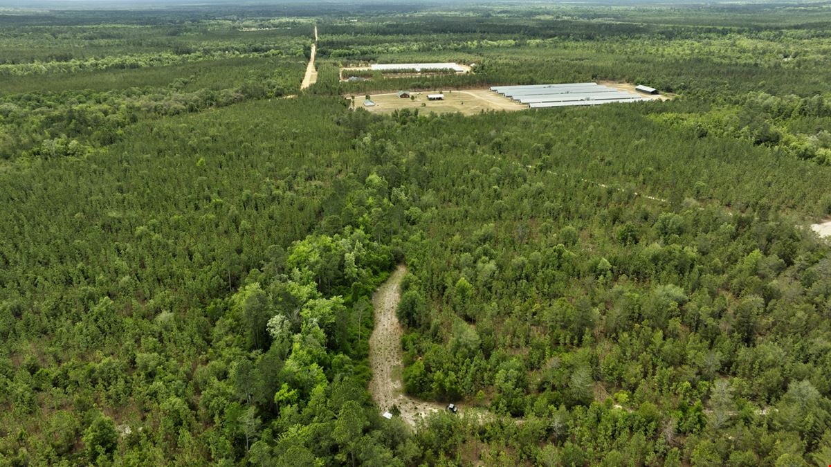 Timber Ridge Farm