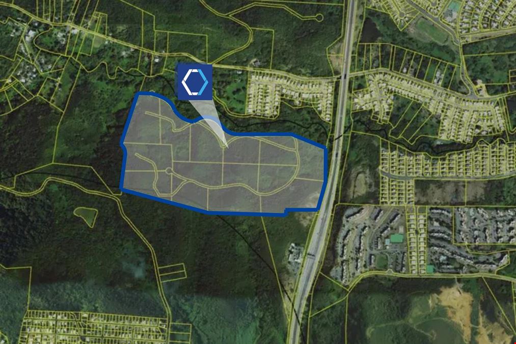 Vacant Lands Consisting 78 Cuerdas with Ocean Views in Ceiba - FOR SALE