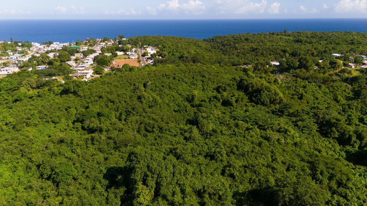 Isabela Vacant Land Parcel - For Sale