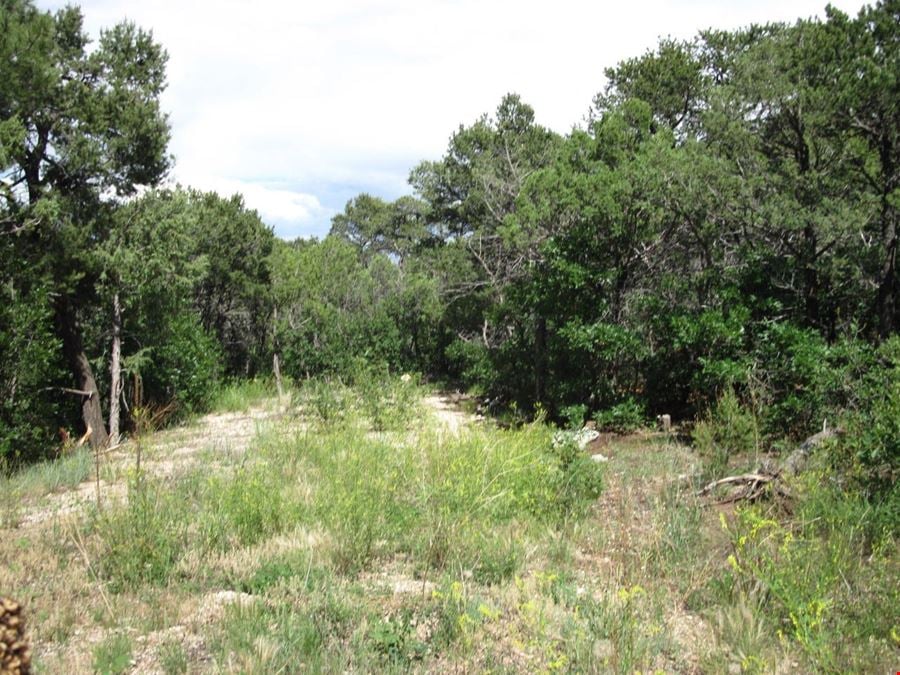 10433 State Highway 337