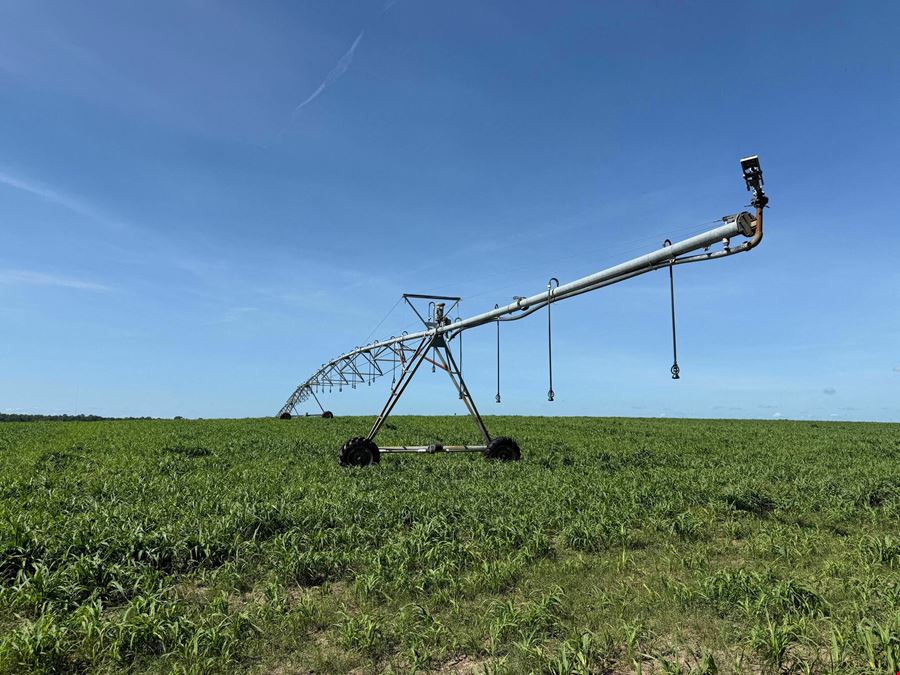 688± Acre Turn Key Farm Operation in Marion County