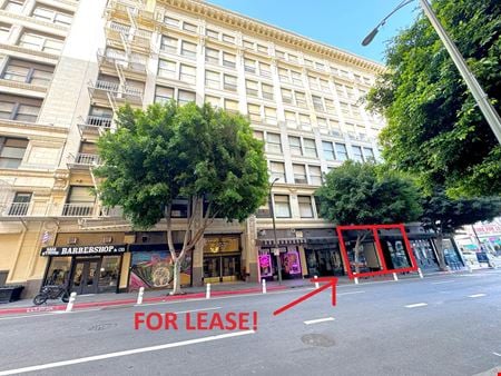 Preview of Mixed Use space for Rent at 121-129 East 6th Street