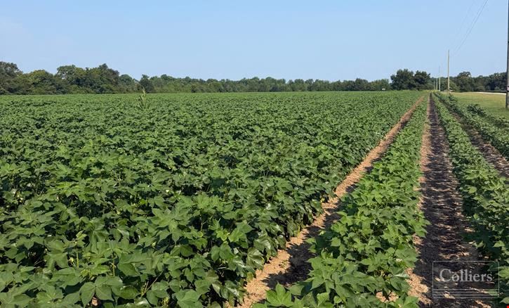 ±46.96-Acre Recreational & Residential Tract | Monetta, SC