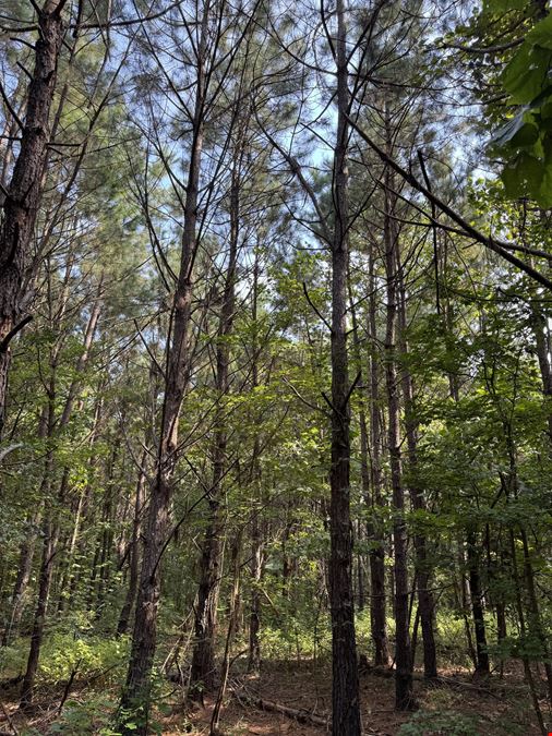 Big Fourche Hunting, Fishing & Timber