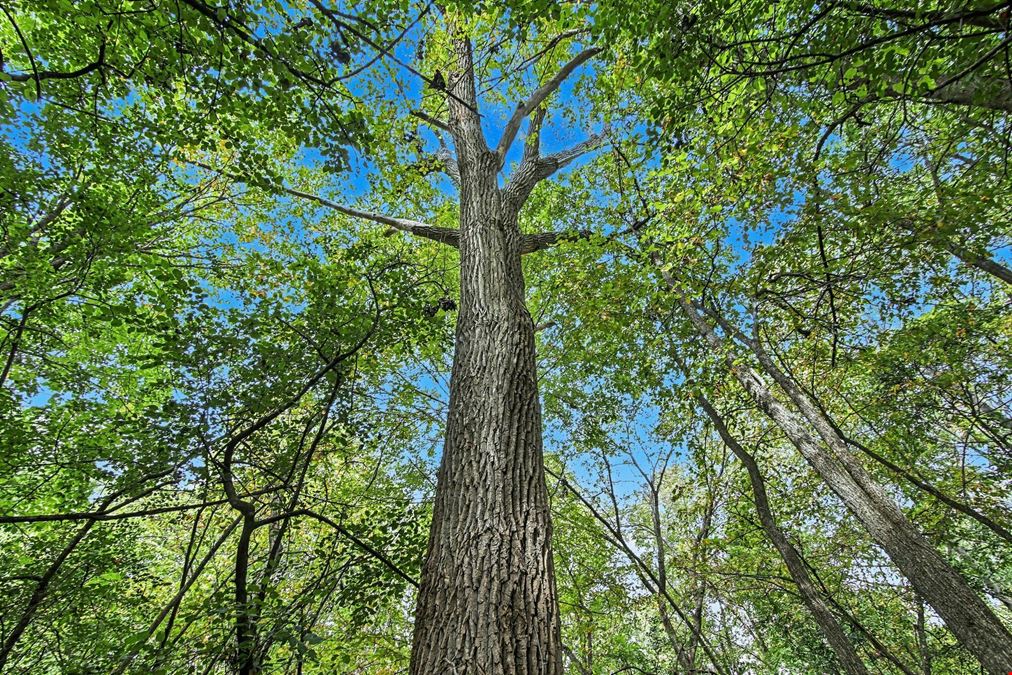 39 Acres Land for Sale - Belleville