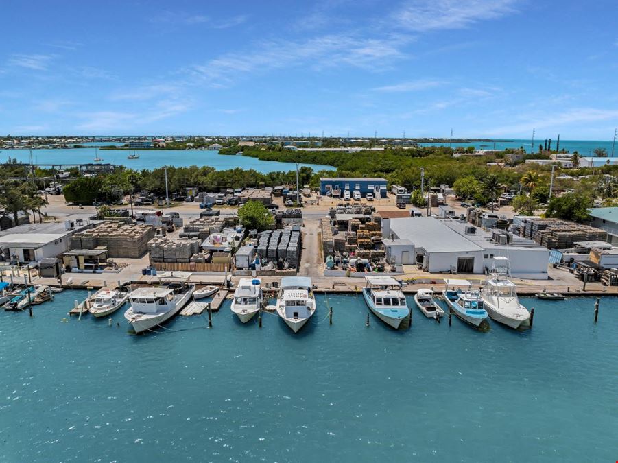38 Coco Plum