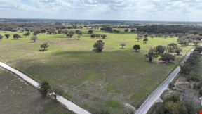 72± Acre Marion County Ranchette