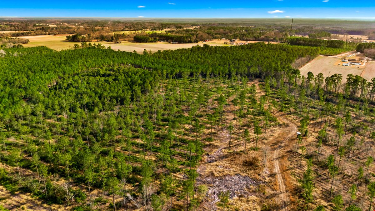 Development Opportunity - 127 Acres, Loris, SC