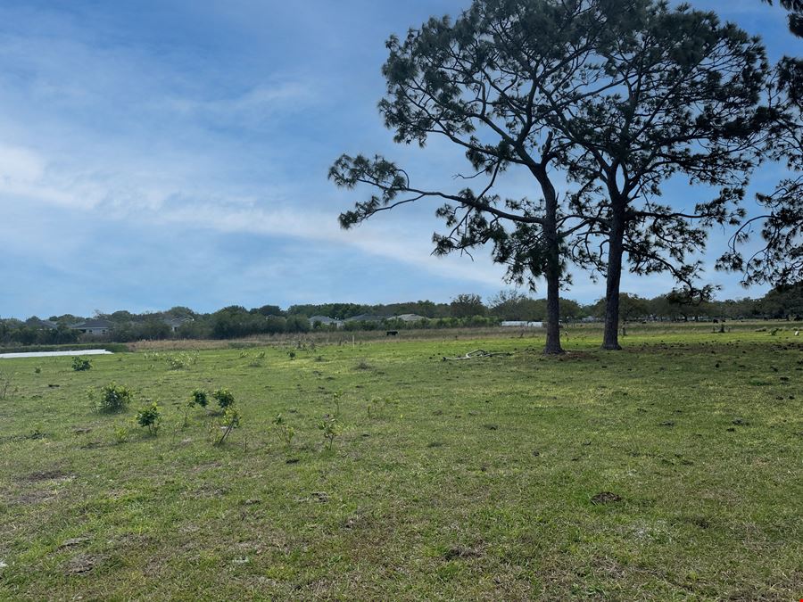 Sanders Road 20 Acres