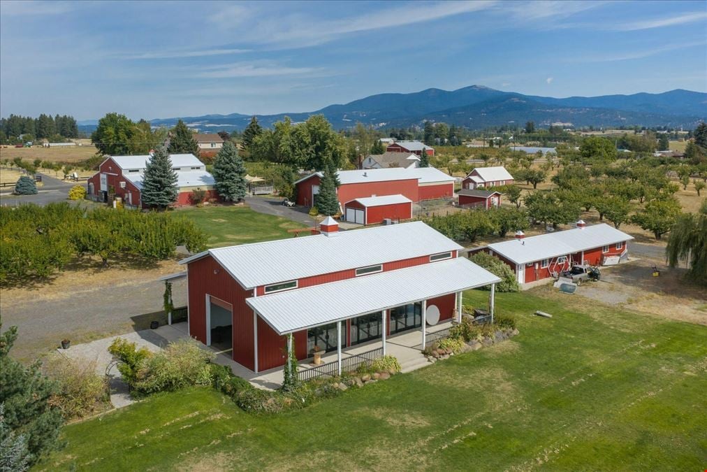High Country Orchard