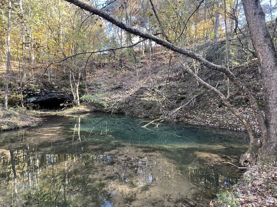901 Britton Springs Rd