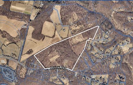 Preview of VacantLand space for Sale at 10715 Brink Rd