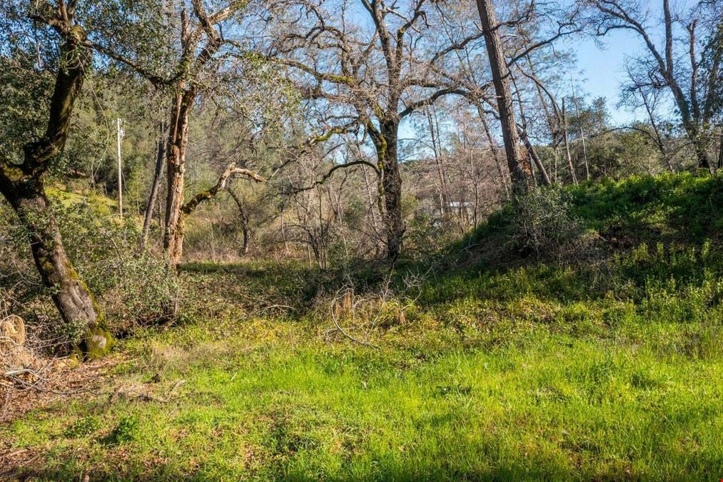 ±0.208 AC Cul-De-Sac Land in Jones Valley