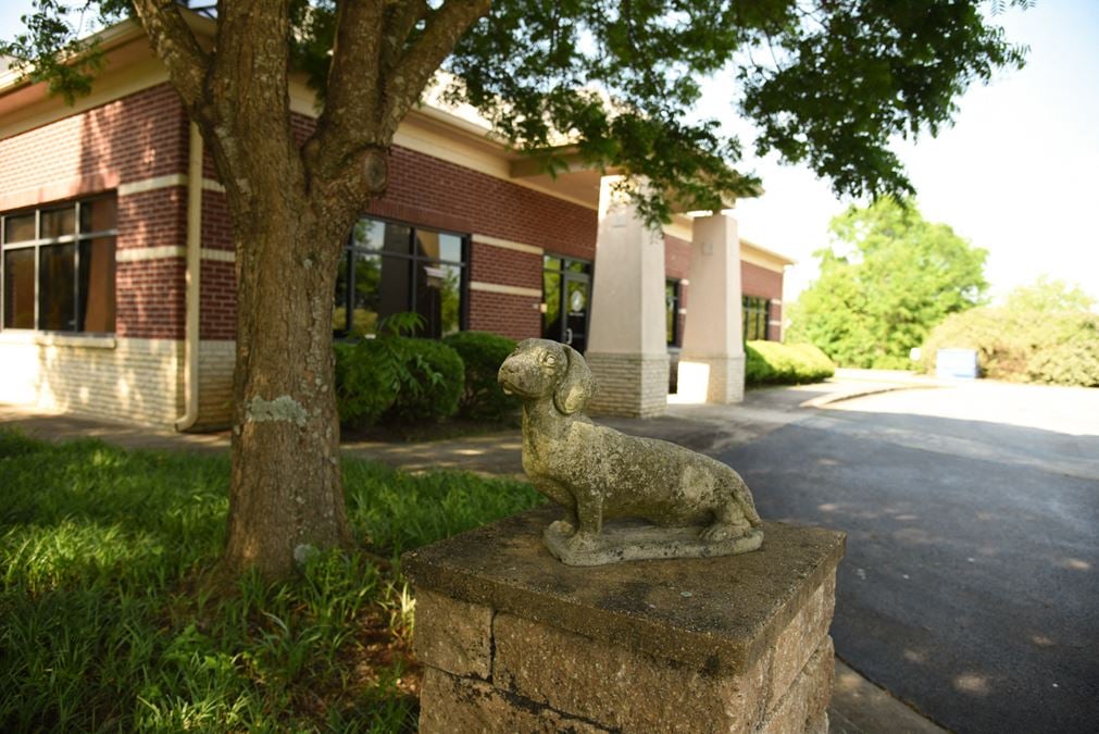 Veterinary Hospital on Veterans Drive