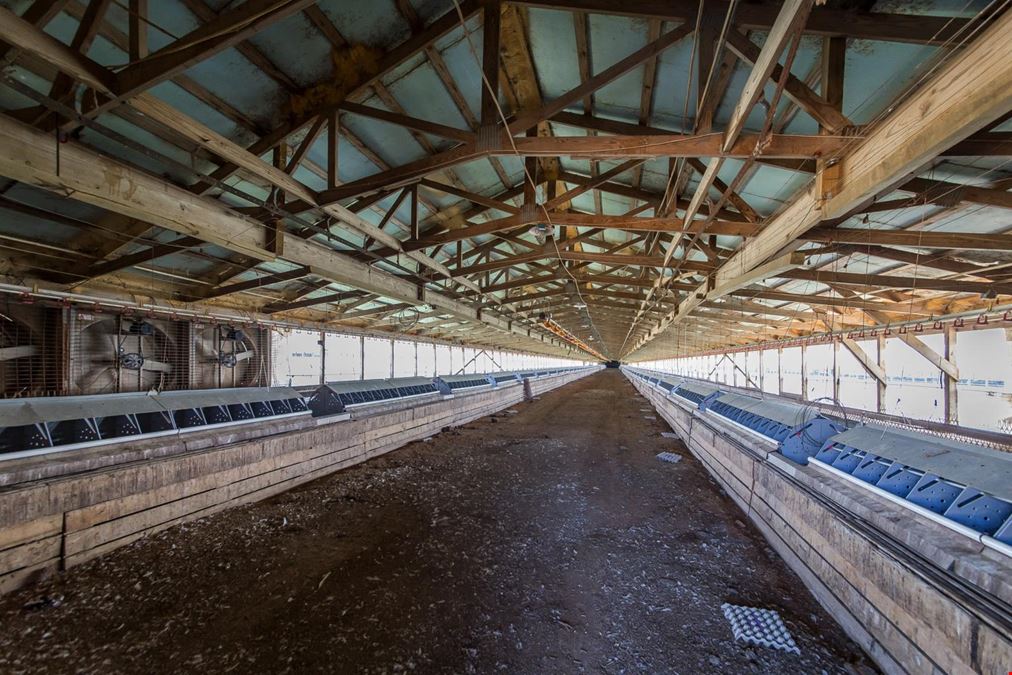 Hope Arkansas Chicken Farm