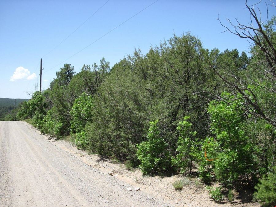 7 Blackbird Rd